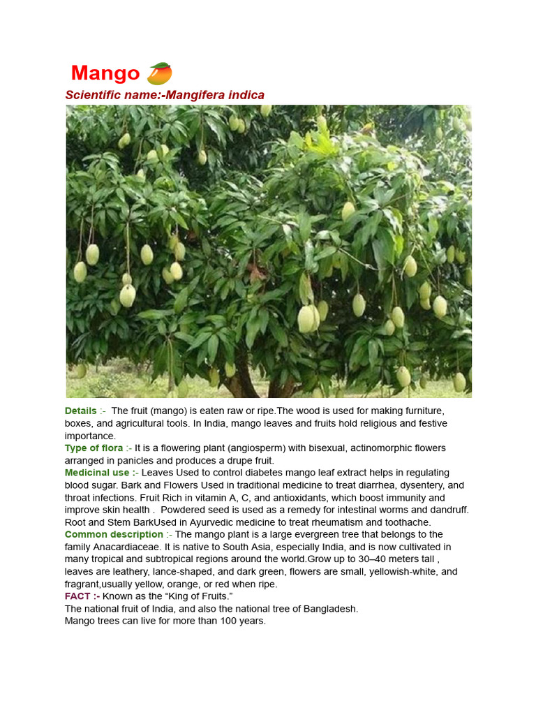 Mango ? | PDF