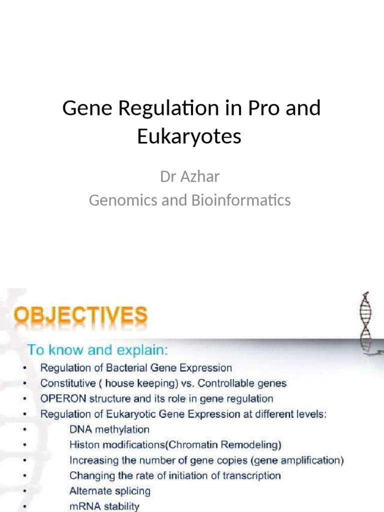 Gene Regulation | PDF