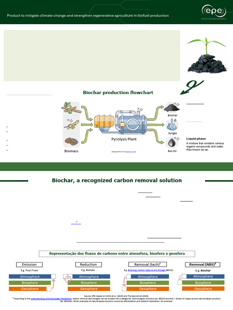 Fs Epe Dpg Sdb 2024 01 Biochar | PDF | Soil | Climate Change Mitigation