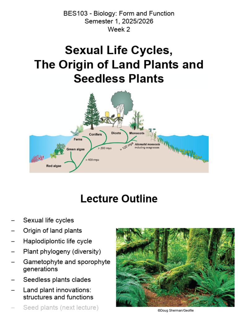 Week 2 Lecture Slides 2025-09-10 | PDF | Ploidy | Sexual Reproduction