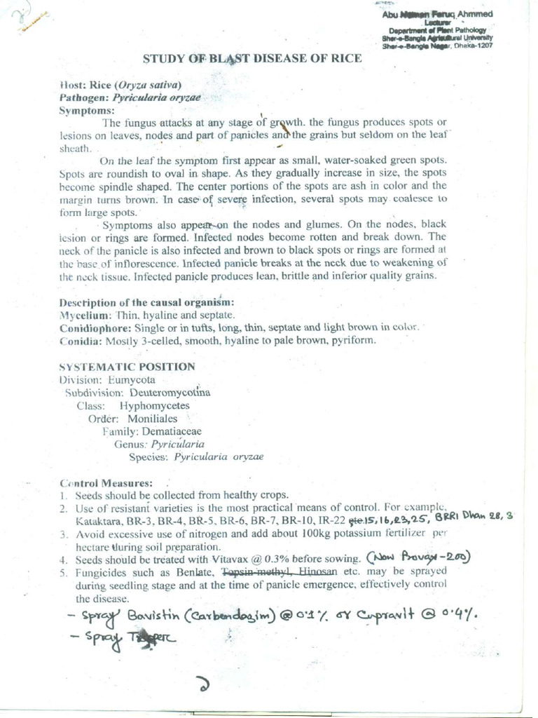 Lecture Sheet Level 3 Sem 2 Practical | PDF