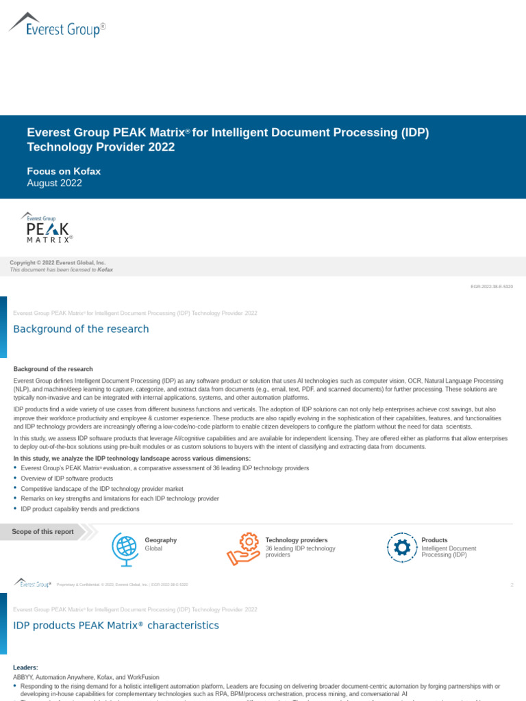 Everest Group Intelligent Document Processing Idp Technology Provider ...