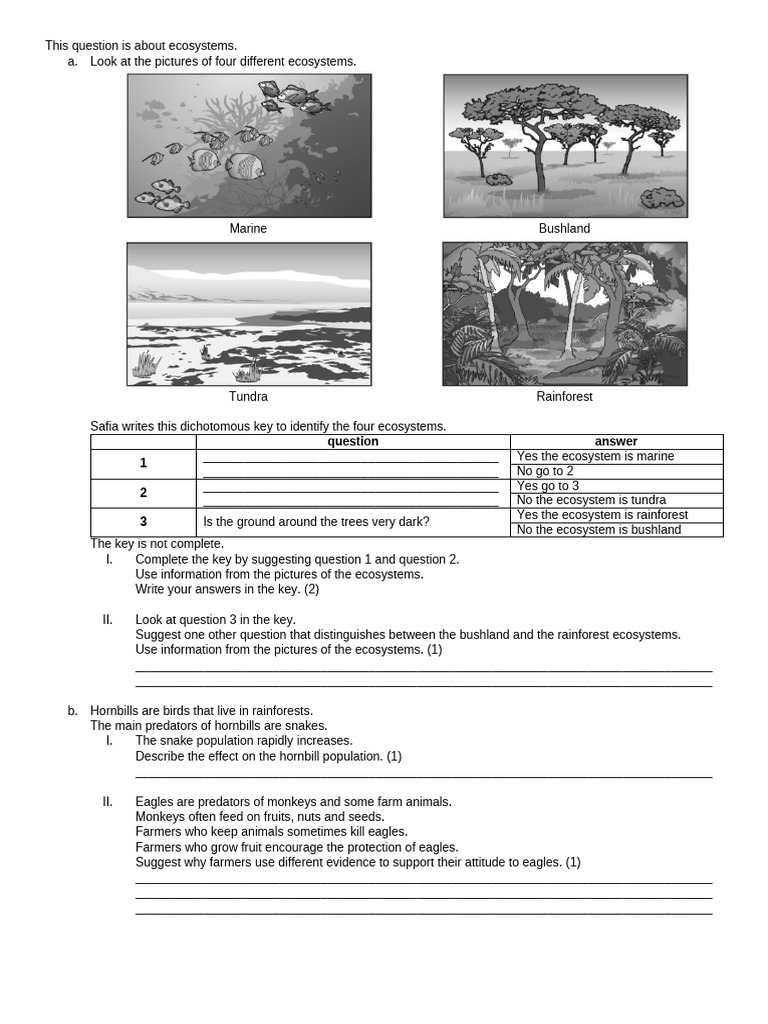 This Question Is About Ecosystems | PDF | Eagle | Rainforest