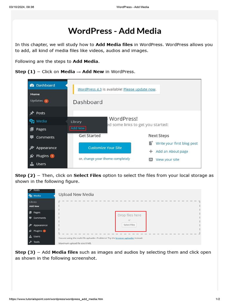 How to Add Media in WordPress | PDF