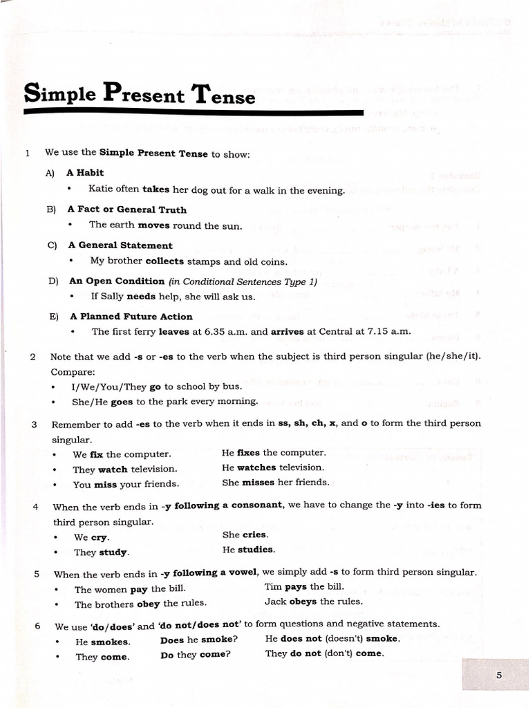 Simple Present Tense Ex | PDF