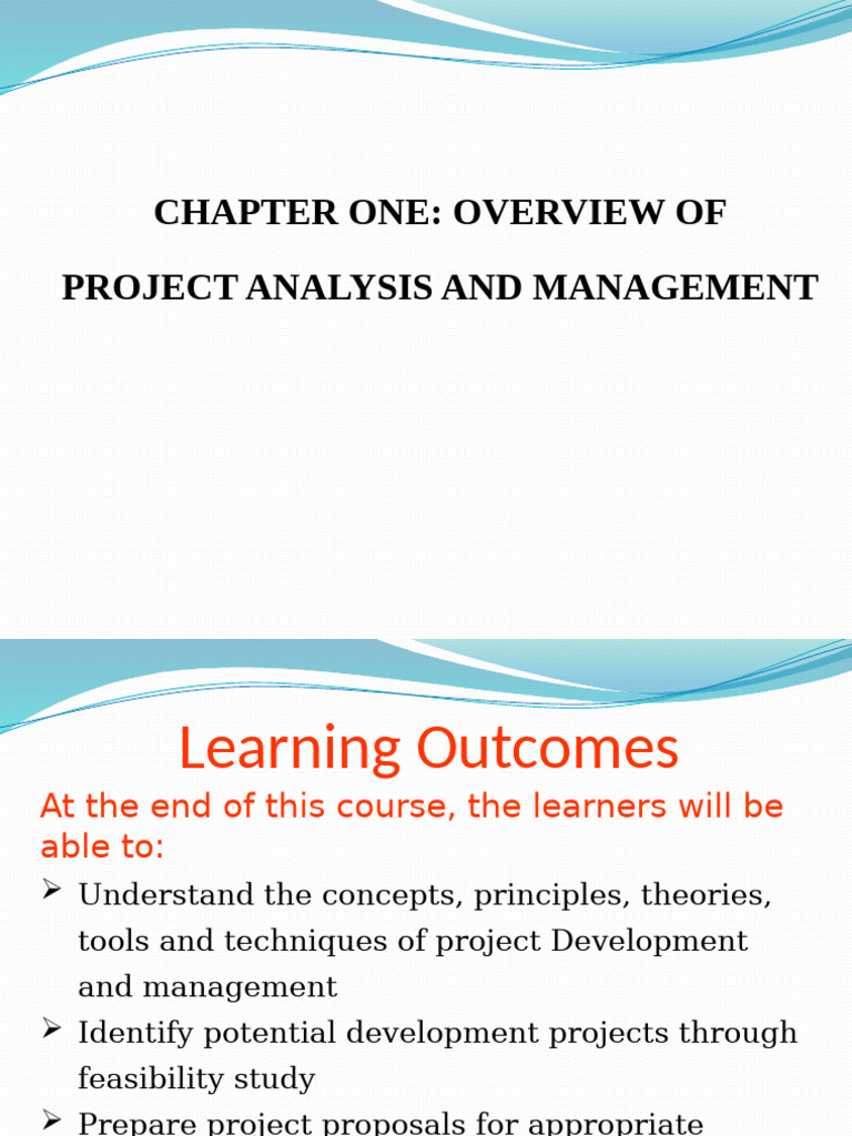 Project Analysis and Management Overview | PDF | Feasibility Study ...