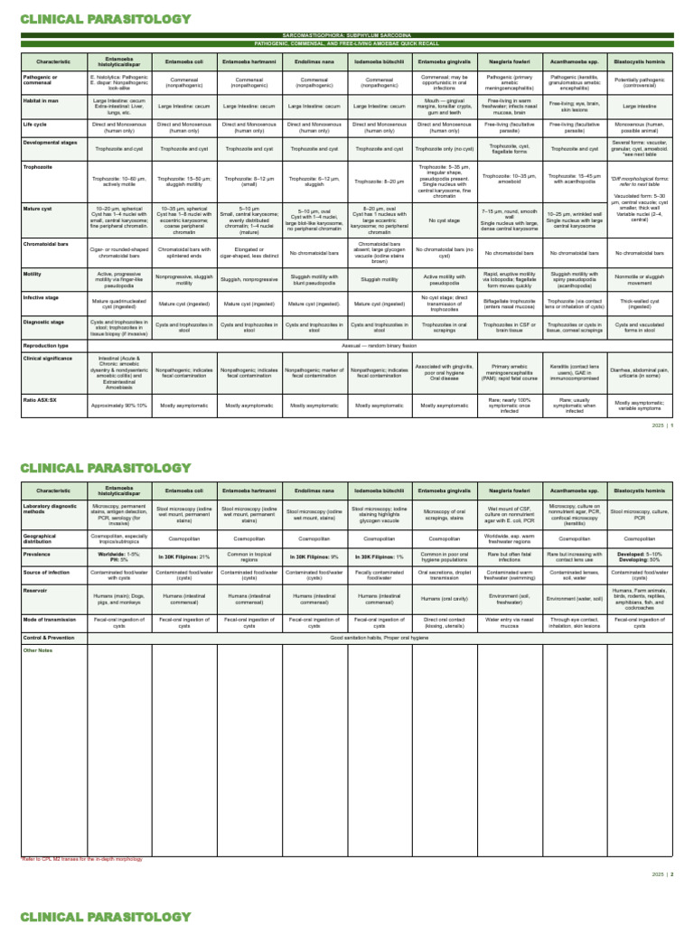 CP M2 | PDF