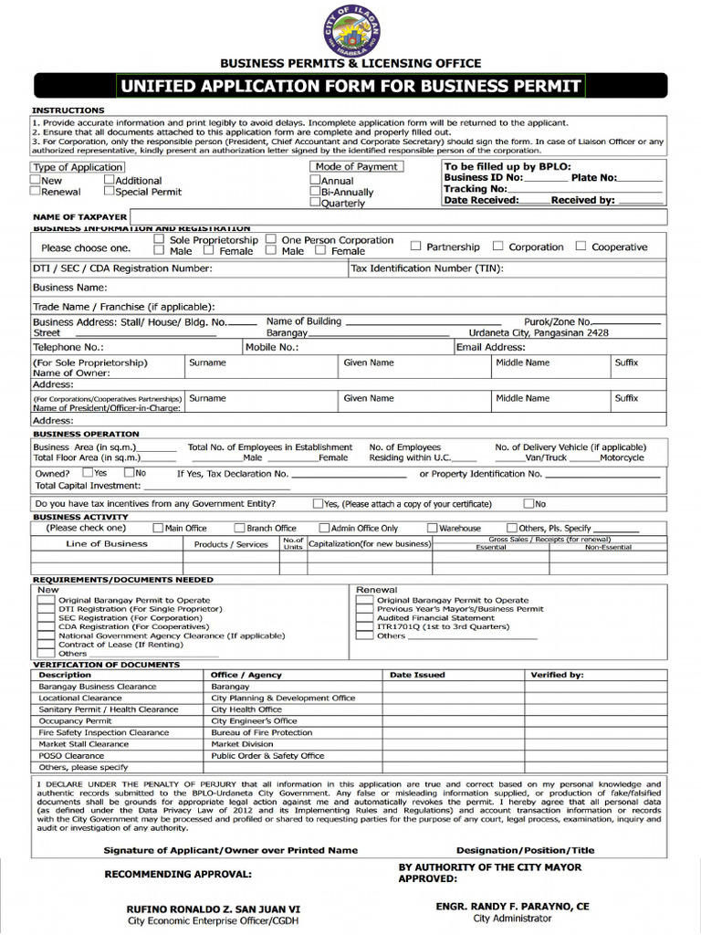 Mayor's Permit | PDF