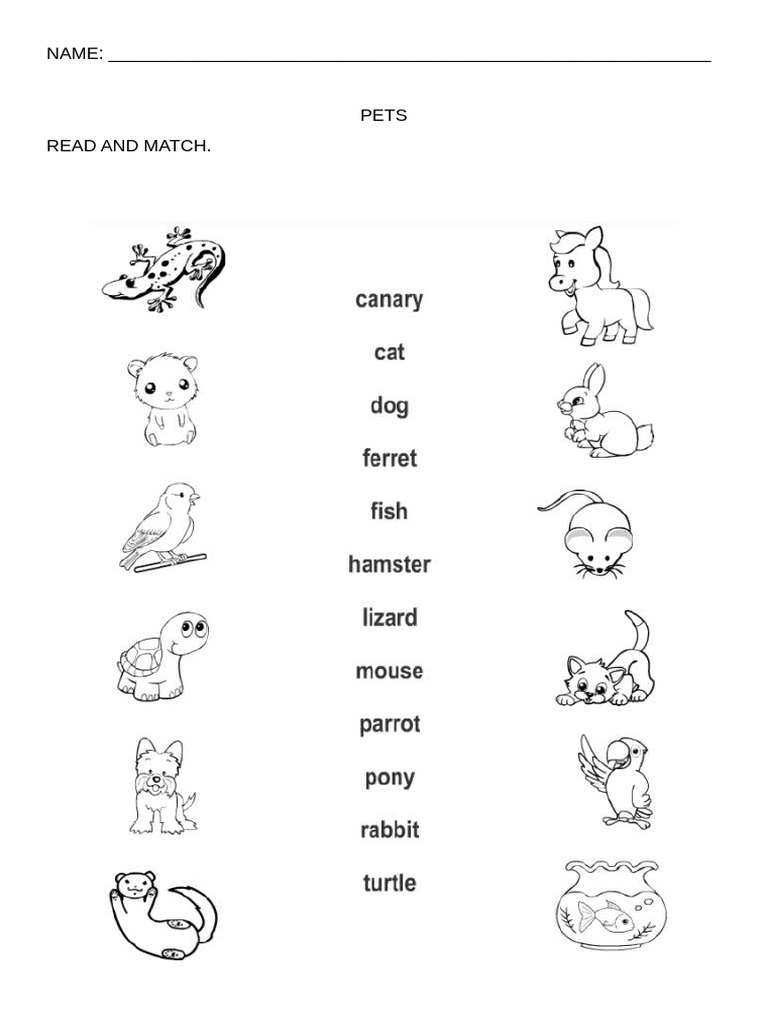 Pet Activities Worksheet for Kids | PDF