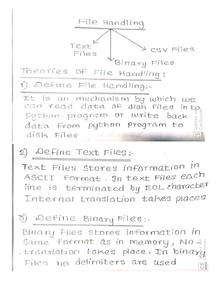Text, Binary, CSV Files | PDF