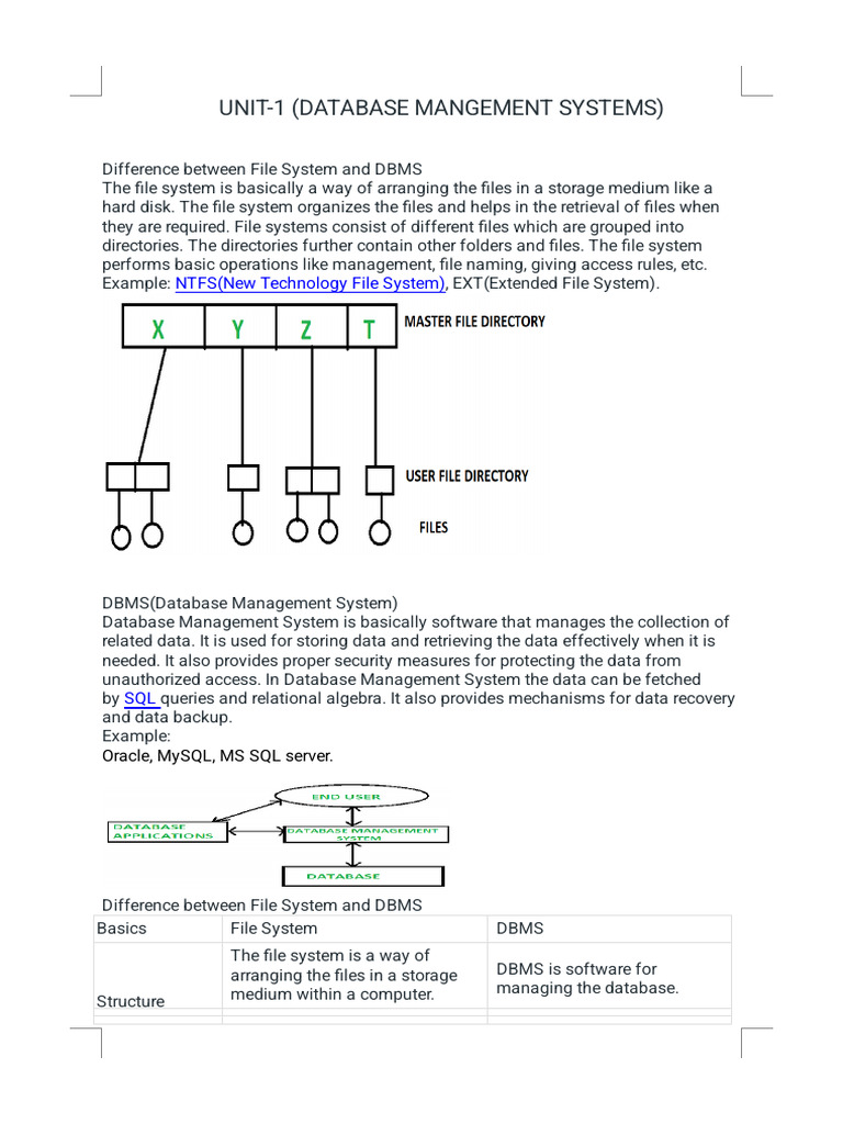 File System vs. DBMS Explained | PDF | Databases | Computer Data Storage