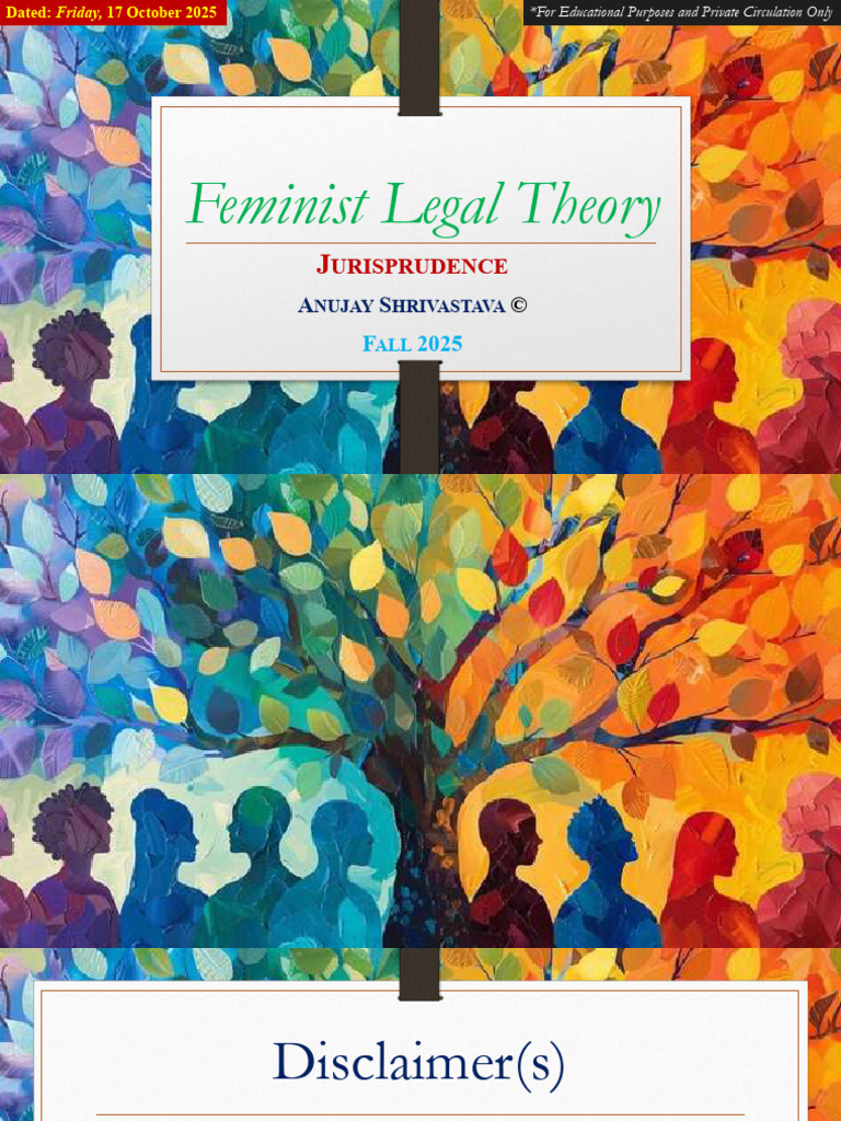 Overview of Feminist Legal Theory | PDF | Gender Studies | Feminism