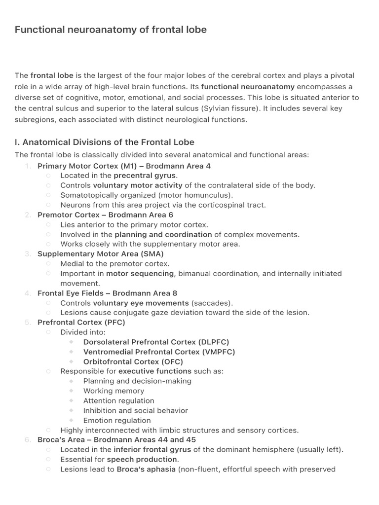 Functional Neuroanatomy of Frontal Lobe | PDF | Frontal Lobe ...