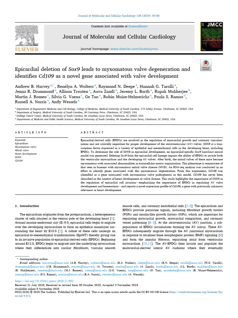 Epicardial Deletion of Sox9 Leads To Myxomatous Valve Degeneration and ...