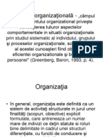 Curs 1 Organizationala