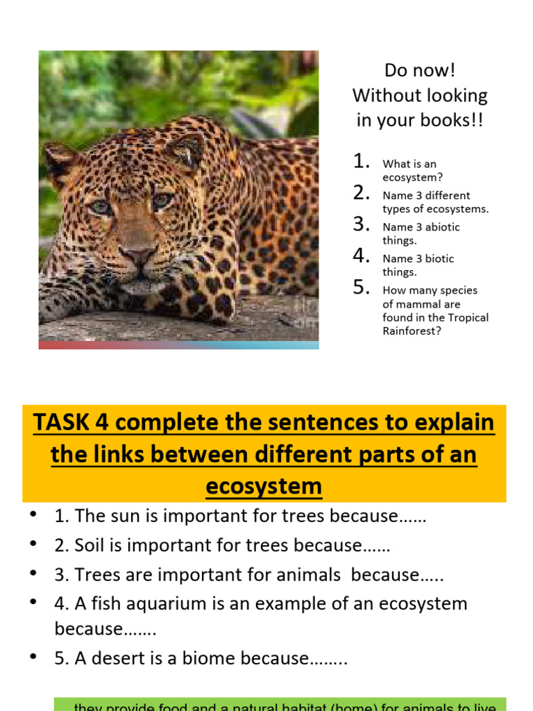 Understanding Ecosystems and Their Locations | PDF | Tropics | Equator