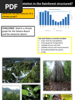 Four Layers of the Rainforest Explained | PDF | Rainforest | Canopy ...