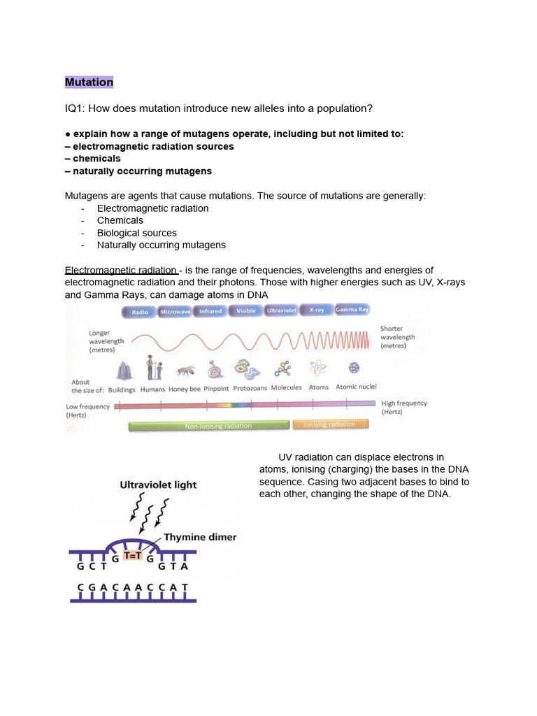 Understanding Mutation and Genetic Variation | PDF | Point Mutation ...