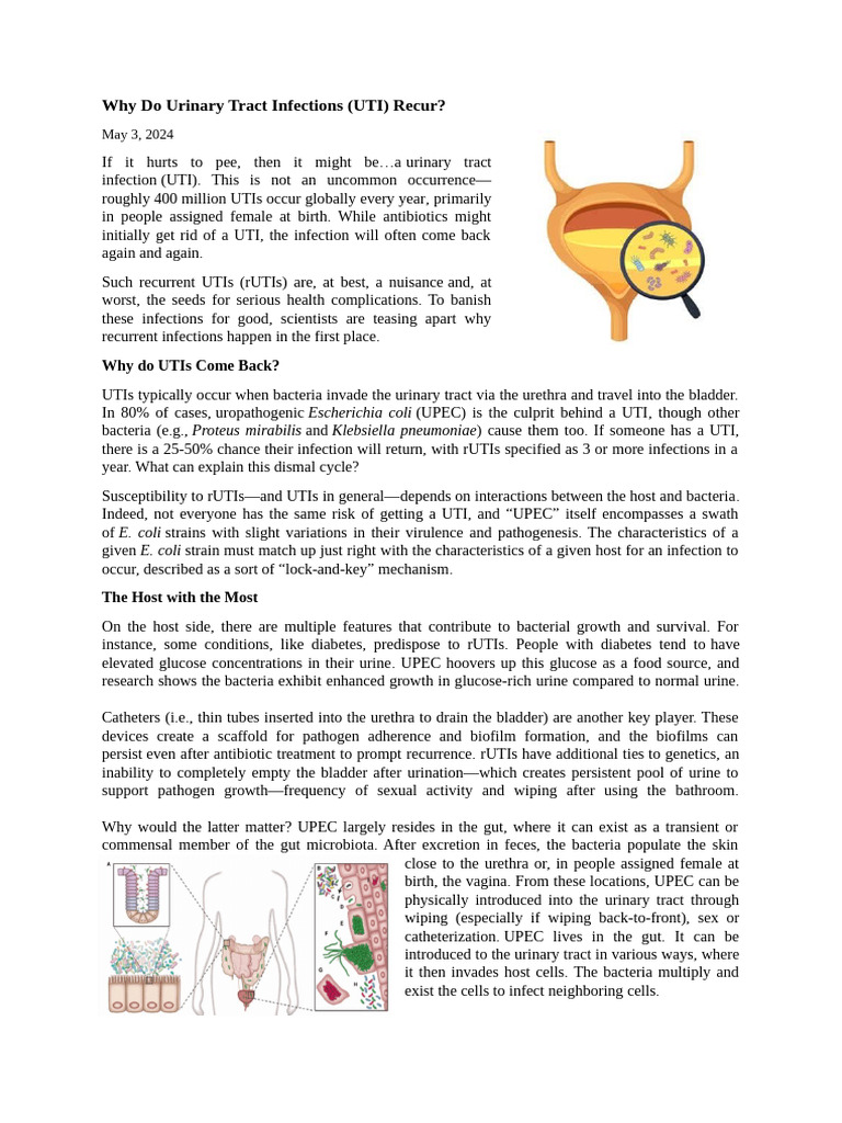 Understanding Recurrent UTIs Causes | PDF | Urinary Tract Infection ...