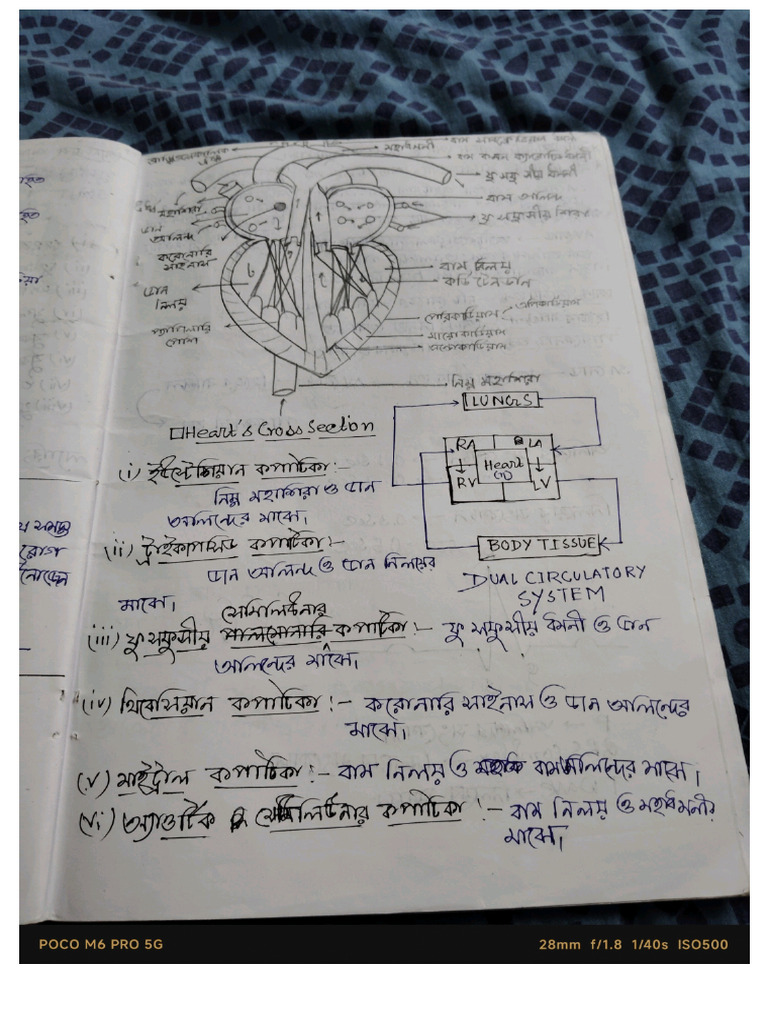 Life Science | PDF
