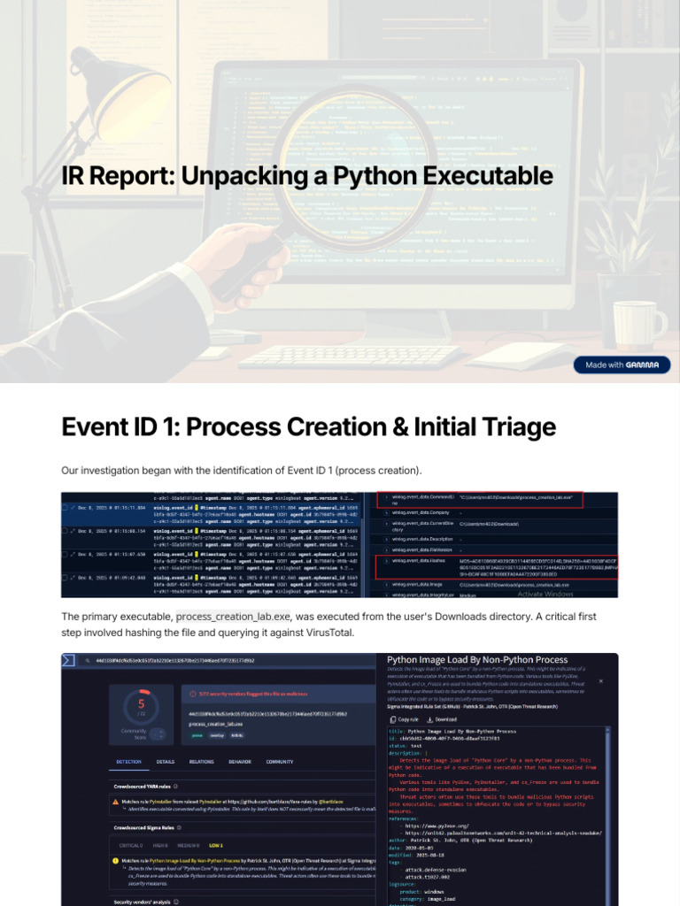 Python Executable Analysis Report | PDF