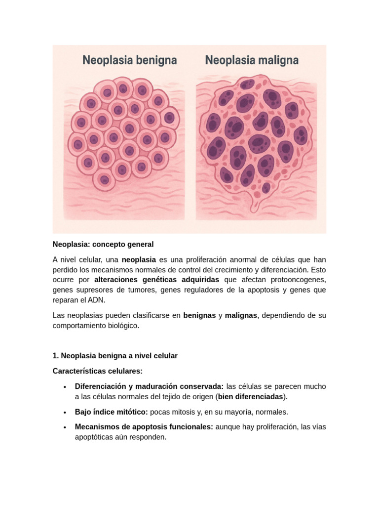 Neoplasia | PDF