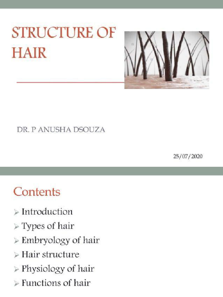 Hair | PDF