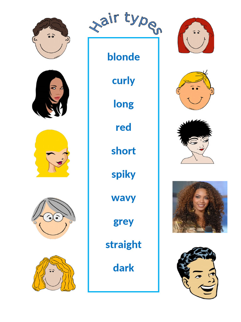Hair Types | PDF