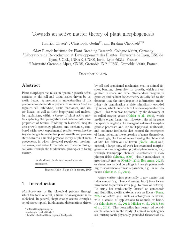 Active Matter Theory Plant Morphogenesis | PDF | Morphogenesis ...