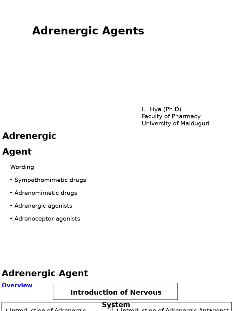 Overview of Adrenergic Agents | PDF | Norepinephrine | Asthma