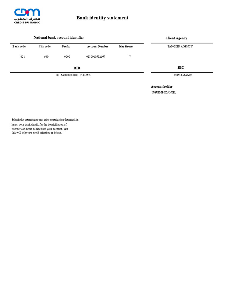 Bank Identity Statement Overview | PDF