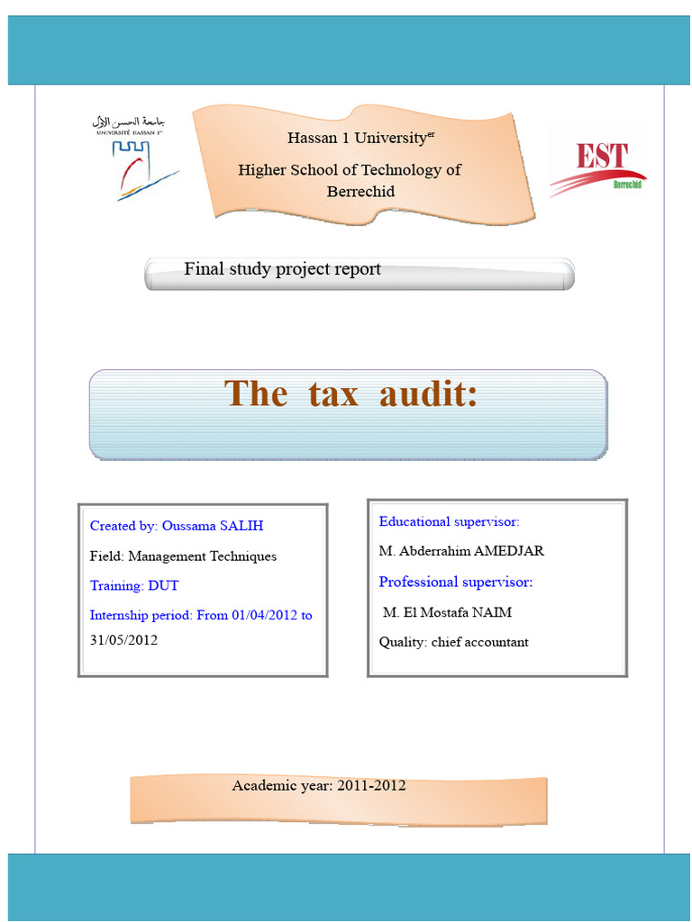 Tax Audit and Risk Management Report | PDF | Audit | Taxes