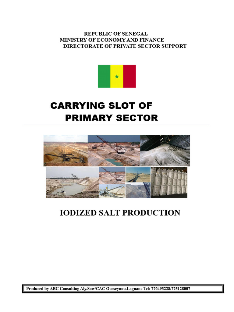 Iodized Salt Production in Senegal | PDF | Salt | Sodium Chloride