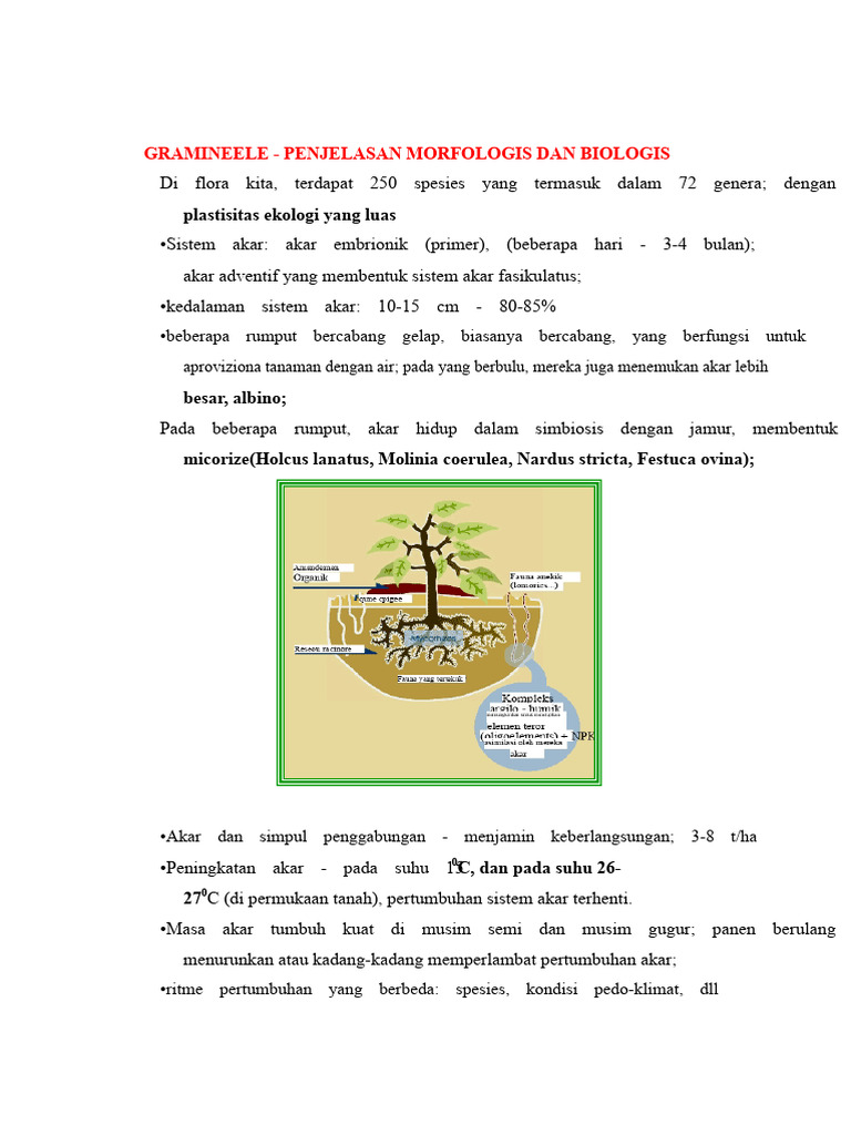Morfologi dan Biologi Rumput Graminea | PDF