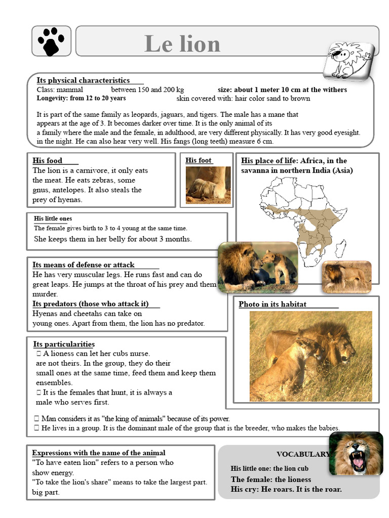 Lion Characteristics and Habitat Overview | PDF