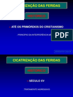 Cicatrizacao Das Feridas