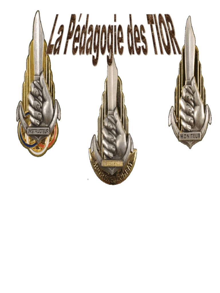 Pedagogika TIOR | PDF