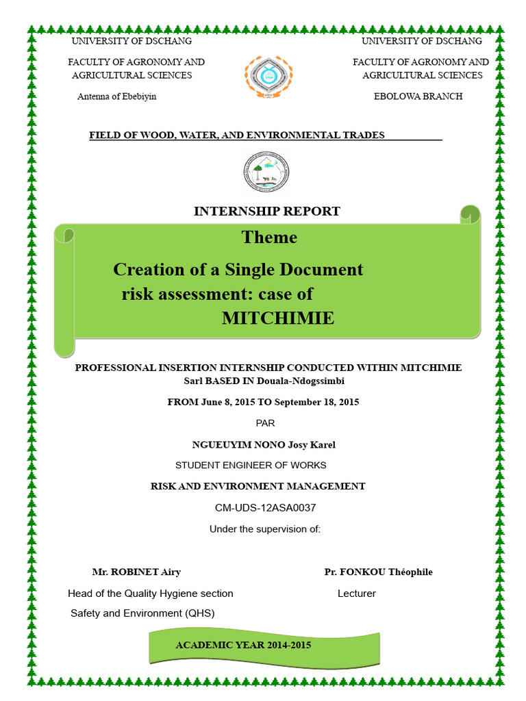 Internship Report_LEVEL_3.pdf | PDF | Risk | Plastic