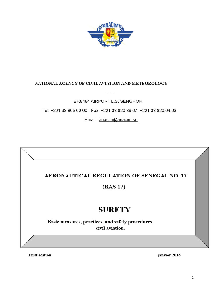 RAS 17 - Security.pdf | PDF | Baggage | Airport Security