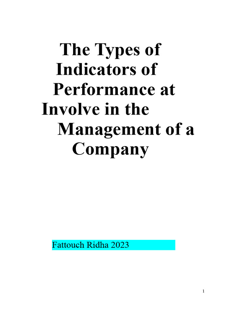 Key Performance Indicators for Business Management | PDF | Performance ...