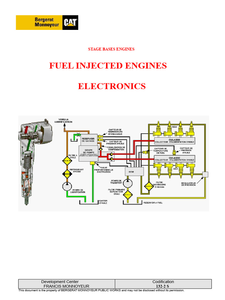 Electronic Fuel Injection Engine Overview | PDF | Fuel Injection | Pump