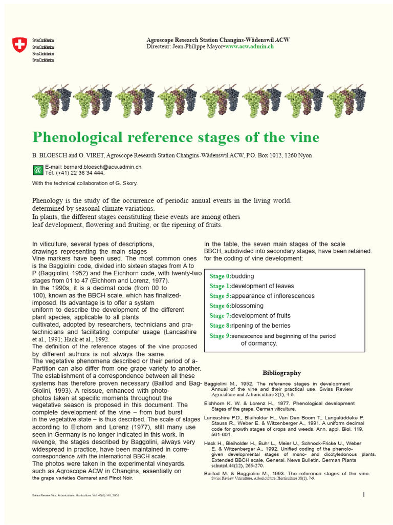 BBCH Scale for Vine Phenology Stages | PDF | Flowers | Grape