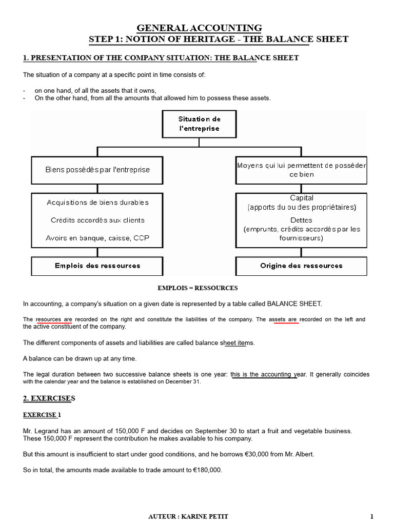 Understanding Balance Sheets in Accounting | PDF | Debits And Credits ...