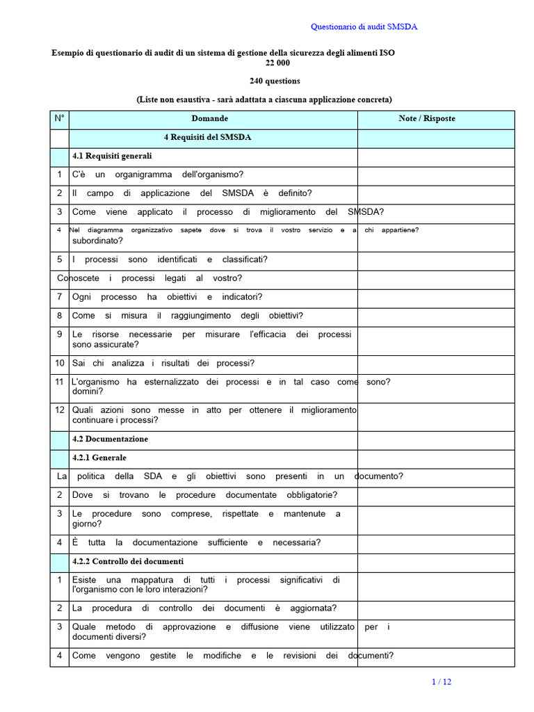 Esempio Questionario Audit | PDF