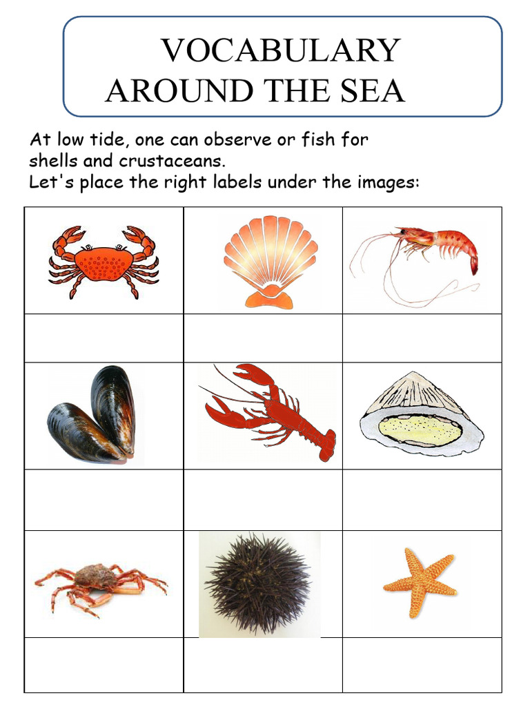 Vocabulary About The Sea PDF | PDF