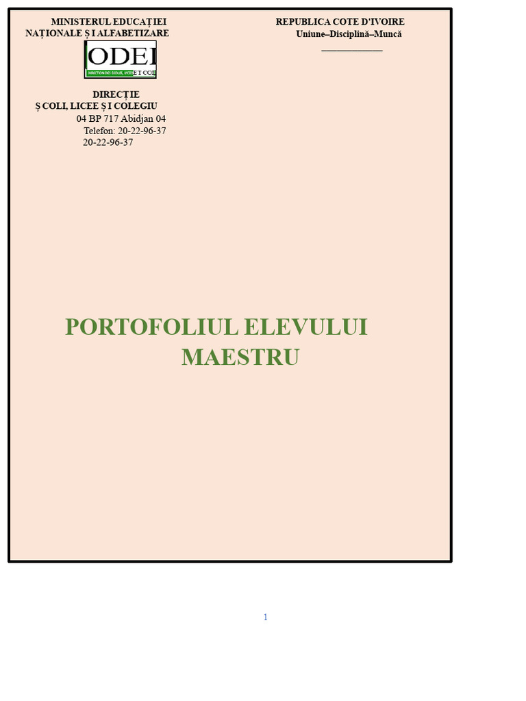 PORTOFOLIU Nou Format +++2 | PDF