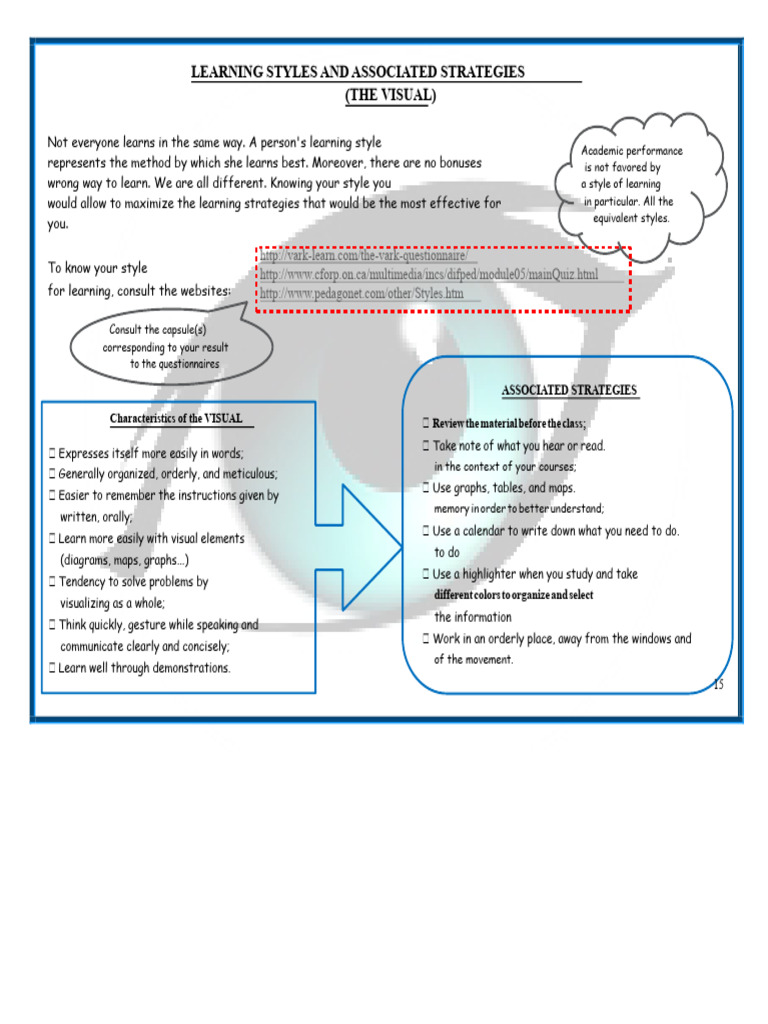 Learning Styles and Strategies Guide | PDF | Learning Styles | Learning