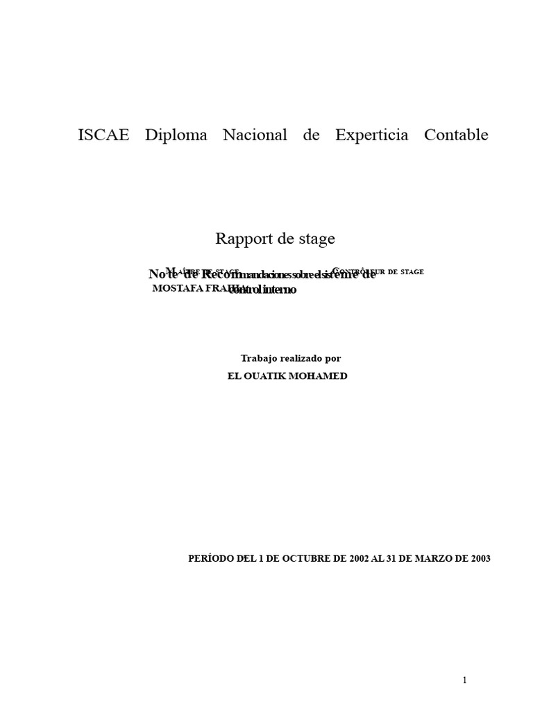 Informe sobre Control Interno Contable | PDF | Contralor | Contabilidad
