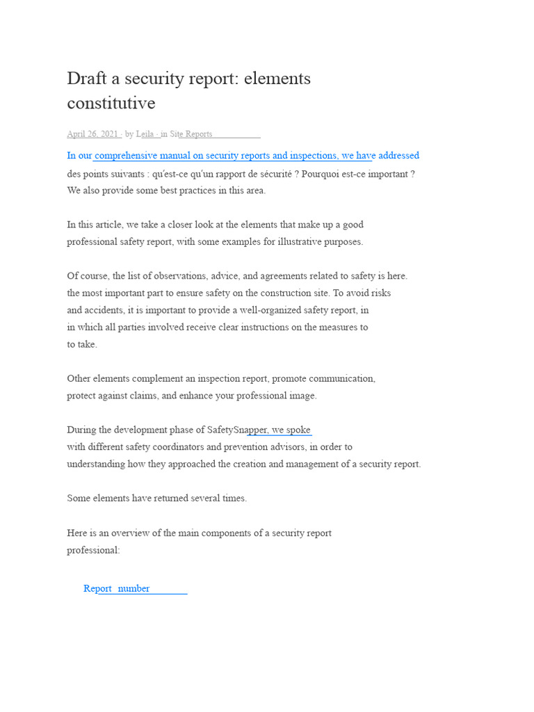 Write a Security Report | PDF