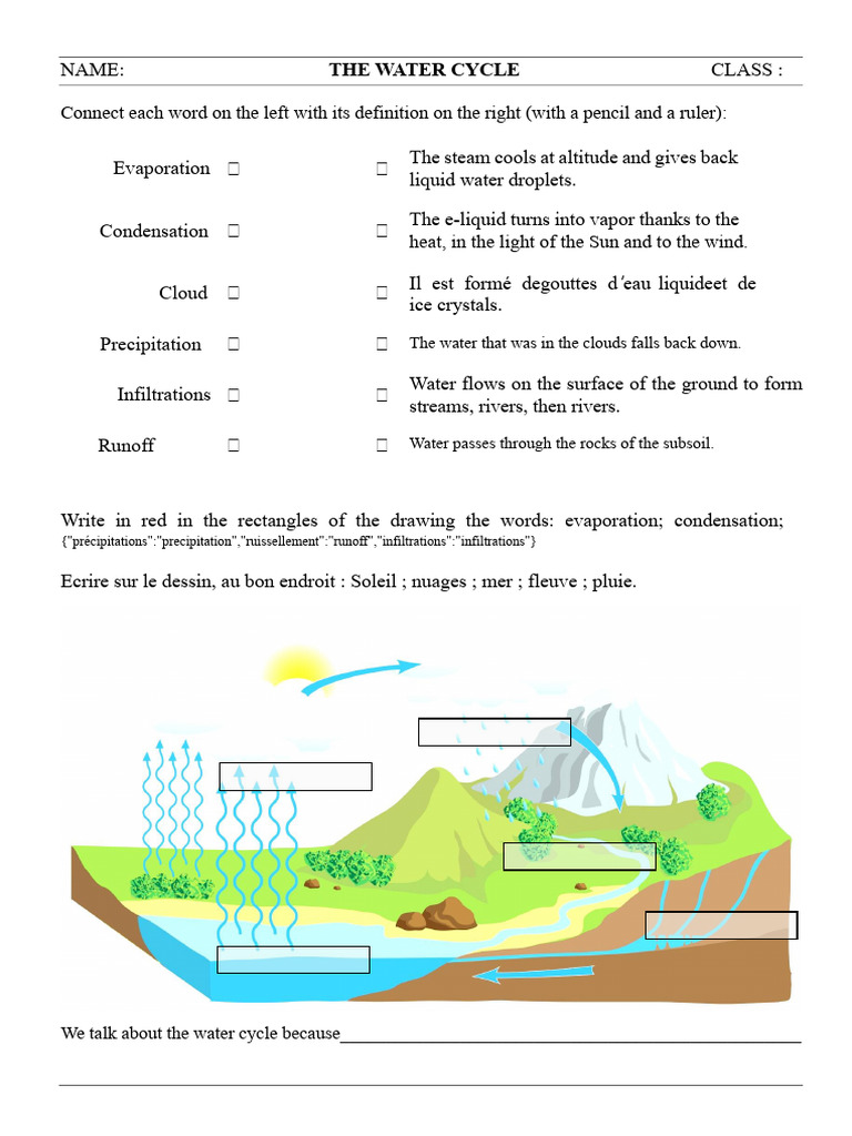 Understanding the Water Cycle Process | PDF | Water | Water Cycle
